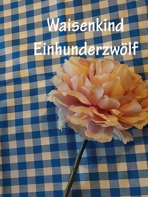 cover image of Waisenkind Einhundertzwölf